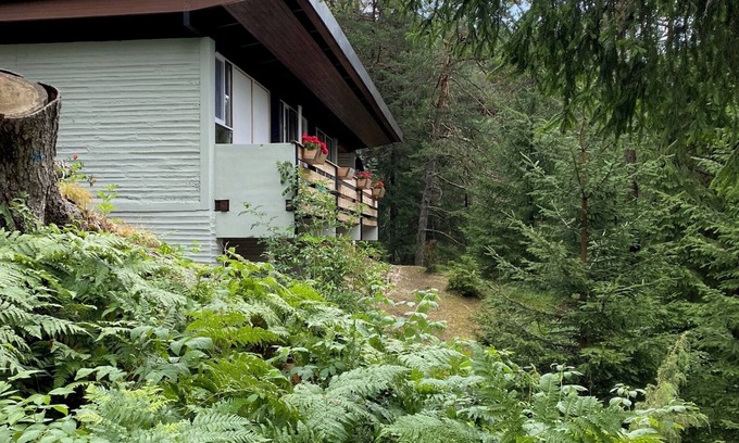 Borca di Cadore Chalet De Esquí | Chalet in the enchanted forest