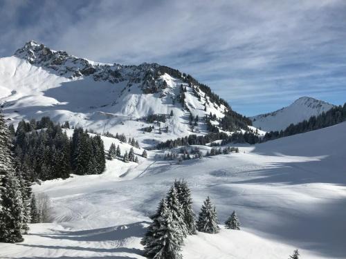 Les Deux Alpes Complejo | Chalet Les 3 Ours by Leavetown Vacations