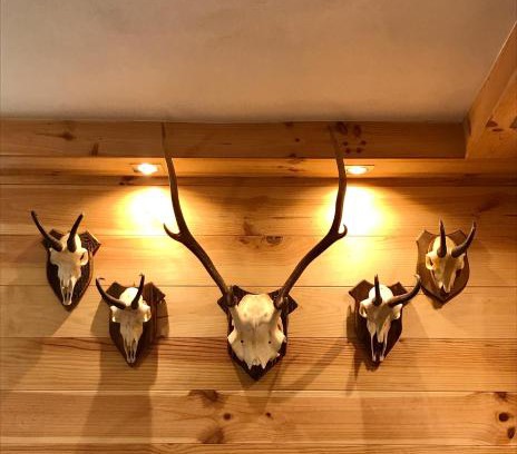 Albosaggia Chalet De Esquí | Chalet Monaci alla Fontana "Junior suite"