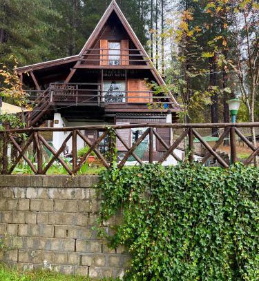 Pedace Chalet De Esquí | Chalet Natura Sport&Relax