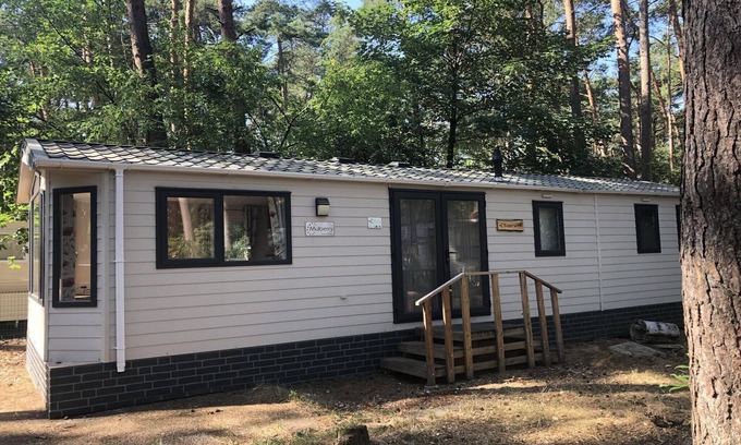 Wechelderzande Chalet De Esquí | Chalet cerca de Amberes y senderos naturales
