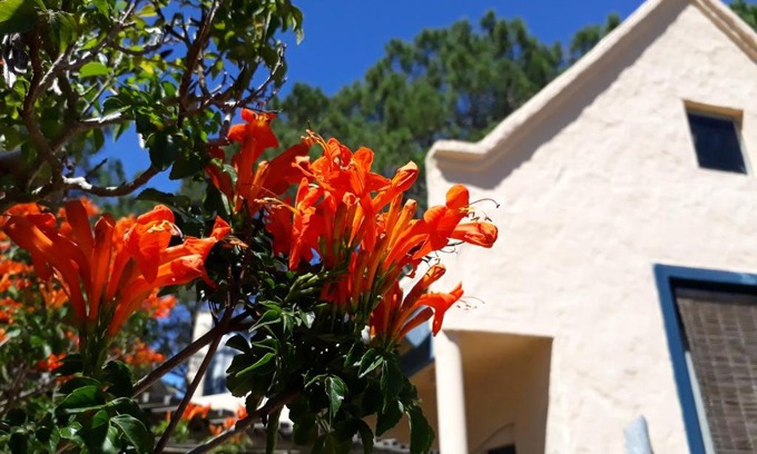 La Paloma Cabina | Chalets del Bosque
