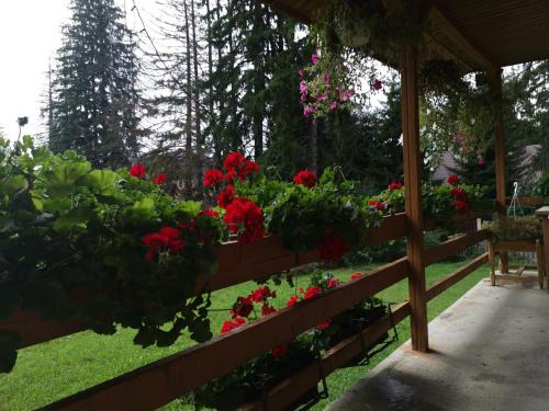 Poiana Brasov Cabina | Challet Montan