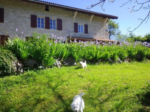 Chevillard Cama Y Desayuno | Chambre d'hôtes La Haie Fleurie