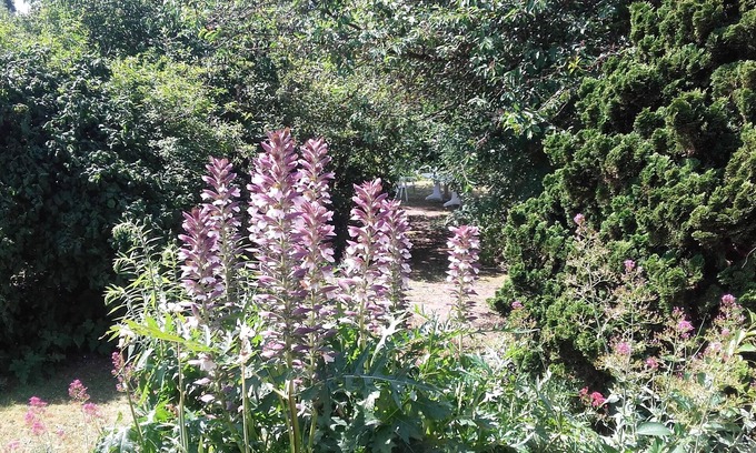 Saint-Aubin-Les-Elbeuf Cama Y Desayuno | Chambre du Jardin Fleuri