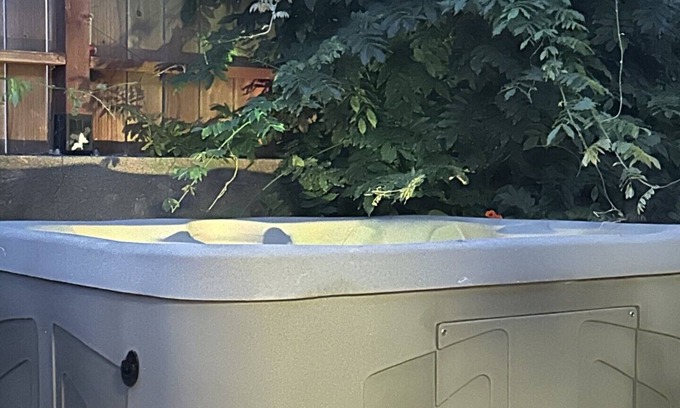Chapel Hill Casa | Chapel Hill/Durham Retreat; hot tub, massage chair, massaging shower.