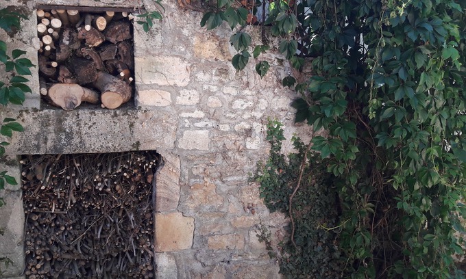 Lurcy-Levis Casa | Character family house, with large enclosed garden and swimming pool
