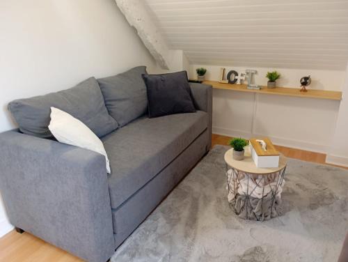 La Madeleine-Bellevue Apartamento | Charmant appartement Saint-Malo