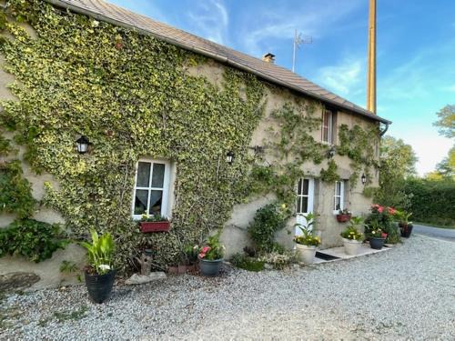 La Petite-Marche Casa | Charmant gîte avec jardin clôturé, cheminée et nombreux équipements près des stations thermales - FR-1-489-159