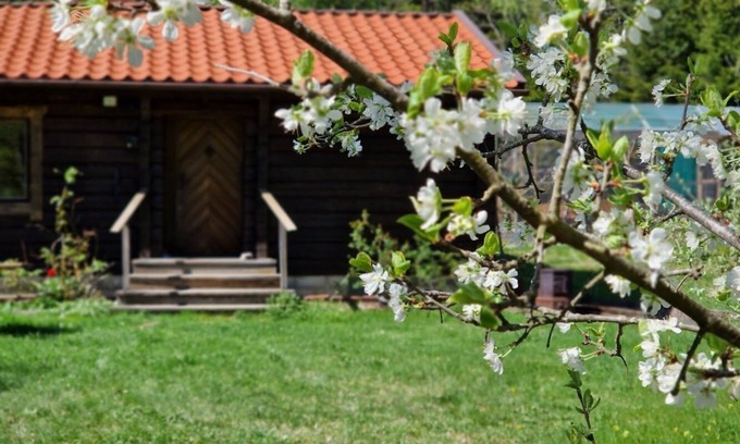 Upplands Vasby Municipality Cabina | Charmig Stuga Mitt i Naturen!