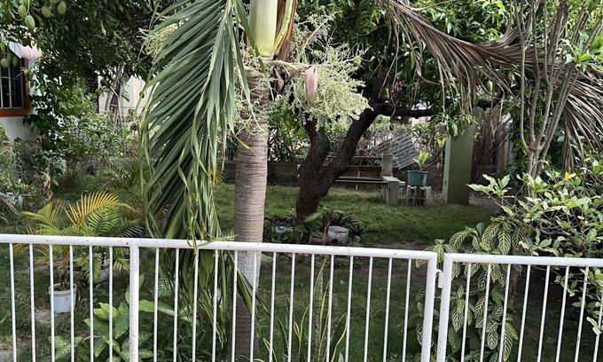 Kingston Casa | Charming 1-bedroom house in delightful Kingston with WiFi