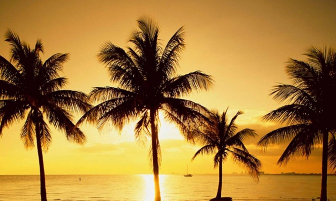 Key Biscayne Casa | Charming 1-bedroom in Key Biscayne with Pool close to the Beach -