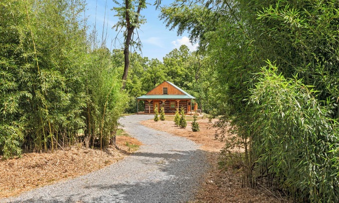 Craig Creek Cabina | Charming 2-bedroom cabin on Craigs Creek with WiFi just outside New Castle