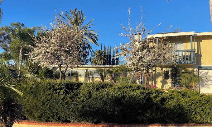 La Mesa Casa | Charming 2-bedroom house with WiFi and AC in tranquil La Mesa