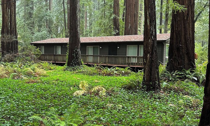 Redway Casa | Charming 2-bedroom modular home in Redway surrounded by State Parks.