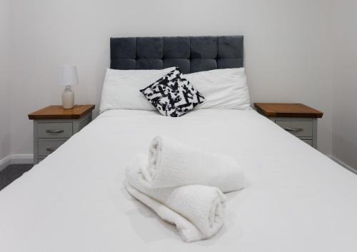 Ormeau Apartamento | Charming 2B Apt Heart of Belfast