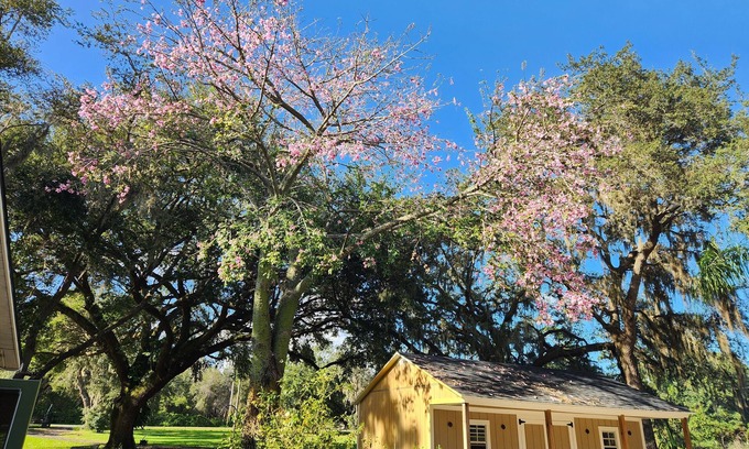 Kissimmee Casa | Charming 4-bedroom house with AC and WiFi near Orlando airport and lake nona
