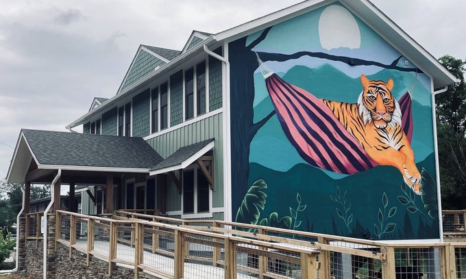 Woodfin Cama Y Desayuno | Charming 5-bedroom hostel north of downtown Asheville sleeps 24!