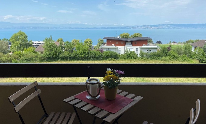 Evian-les-Bains Apartamento | Charming apartment with exceptional view