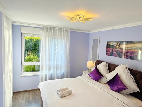 Saint-Louis Apartamento | Charming apartment with Garden, Free Parking near Basel, Airport, Ger'many, France,