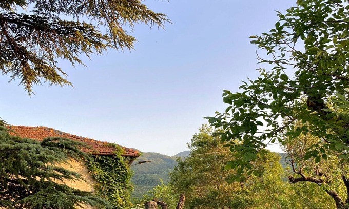 Lizzano in Belvedere Complejo | Mansion - Lizzano in Belvedere