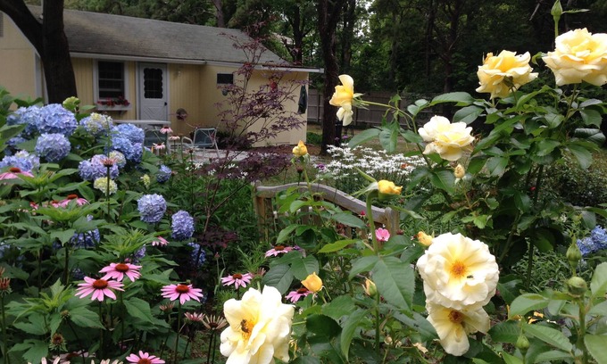 Brewster Cabaña | Cottage con Encanto Cape Cod