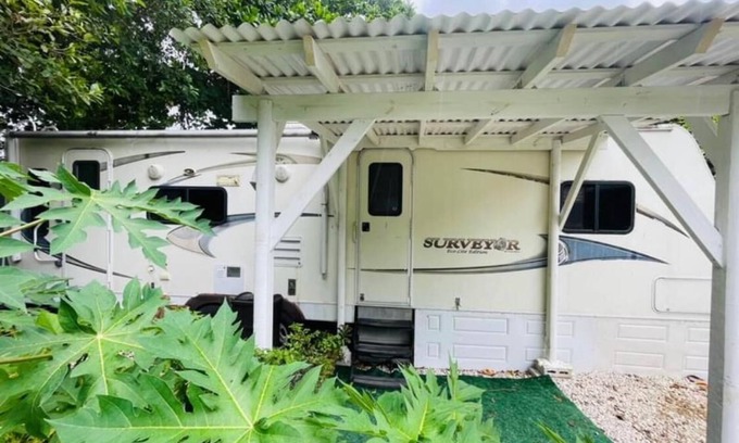 Homestead Casa | “Casa Rodante en la Pequeña Jungla de Legnalife”