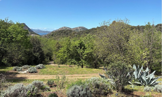 Barbaggio Casa | CHARMING CORSICAN HOUSE