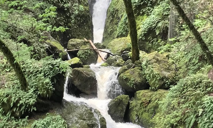 Fairfax Cabaña | Campo con Encanto obtener ubicación, a 35 minutos de San Francisco