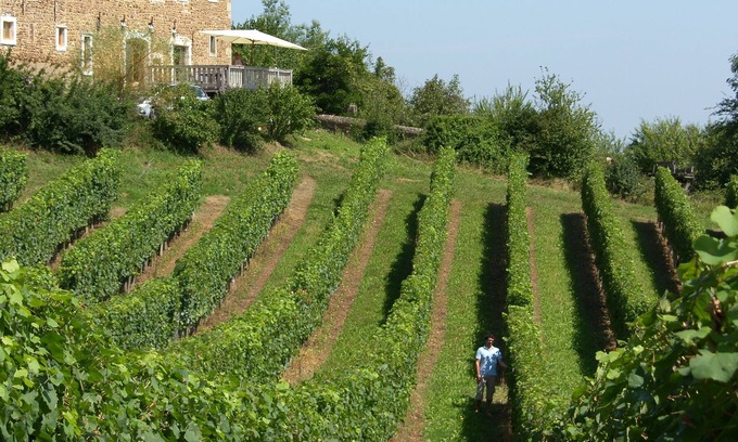 Lucq-de-Bearn Casa | Encantadora casa familiar - granja restaurada de la Bearnaise del siglo XVIII