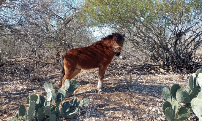 Uvalde Otro | Charming farmhouse with AC and WiFi in soothing Uvalde, 20 M to Concan Tx