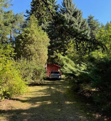 Radziejowice Chalet De Esquí | Charming Forest Home near Warsaw