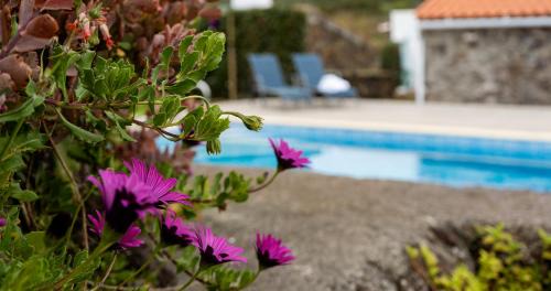 Biscoitos Casa | Charming Holiday House - House & Apartment