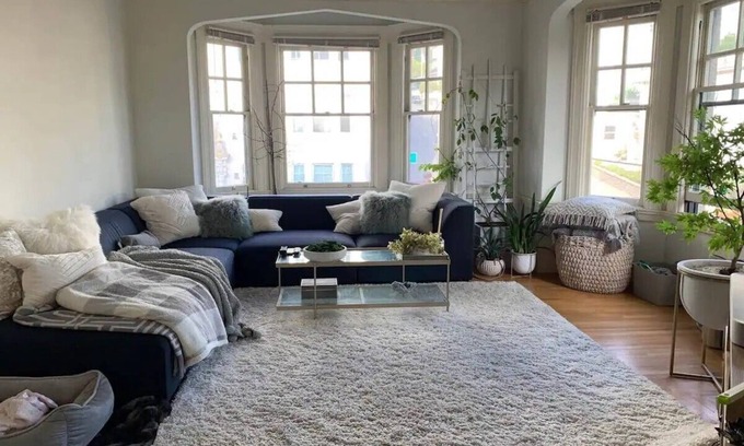 Pacific Heights Condominio | Charming Home in Pacific Heights