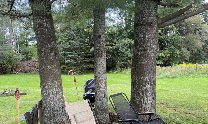 Rangeley Casa | Charming home quick walk to beach and shops
