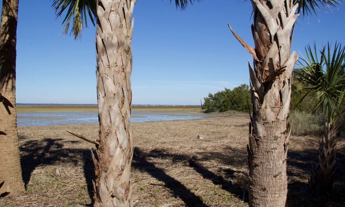 Isle of Palms Casa | Charming House on Private Goat Island ➺ Nature lovers. Accessible only by boat.