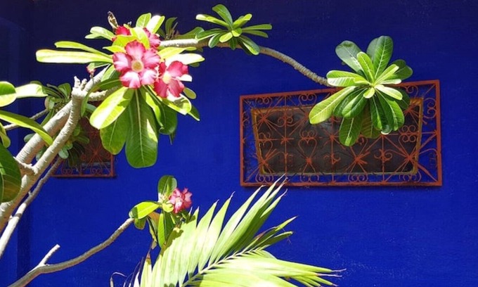 Canoa Quebrada Casa | Charming little house, fast Wi-fi tropical garden