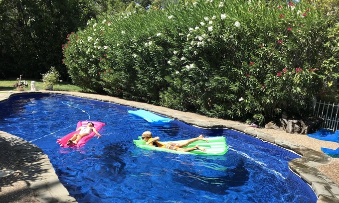 San Anselmo Casa | Charming Marin County Getaway w/Pool in Ross-Walk to Trails/Downtown San Anselmo