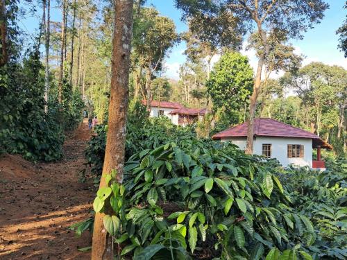 Bittangala Casa | Charming Nest