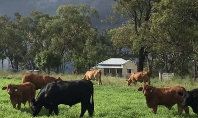 Goomburra Cabaña | Charming Queenslander Cottage in peaceful setting