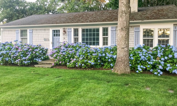 Bass River Casa | Charming retreat near the ocean with a firepit, deck, AC, & kayaks