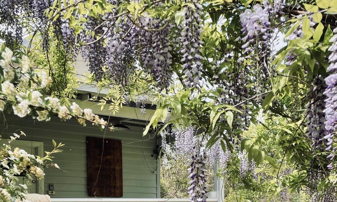 Kirup Cabaña | Charming self contained rustic country cottage joined to main farmhouse.