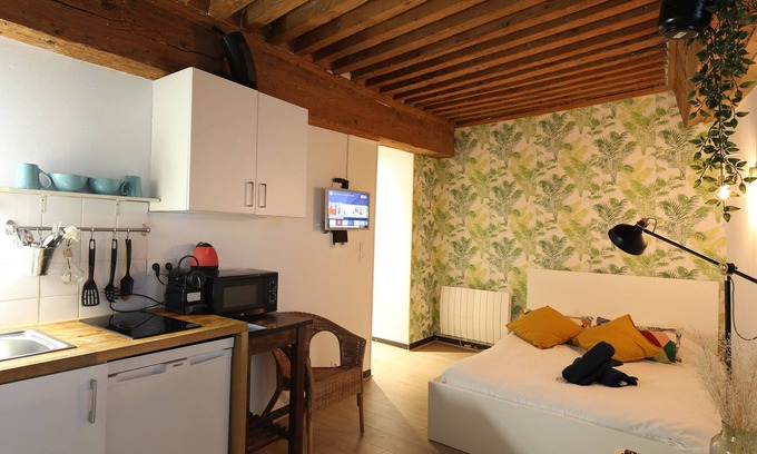 Terreaux - Bat d'argent Apartamento | Charming Studio Centre Ville De Lyon