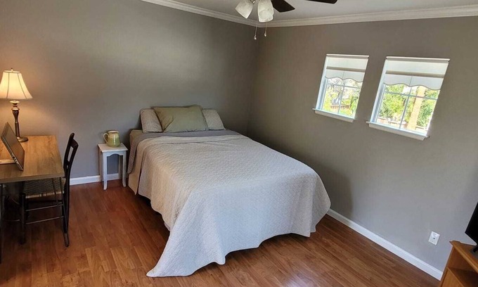 Dublin Apartamento | Charming studio in wonderful Dublin with WiFi, AC