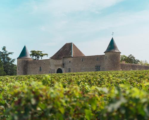 Cadaujac Cama Y Desayuno | Chateau Eck