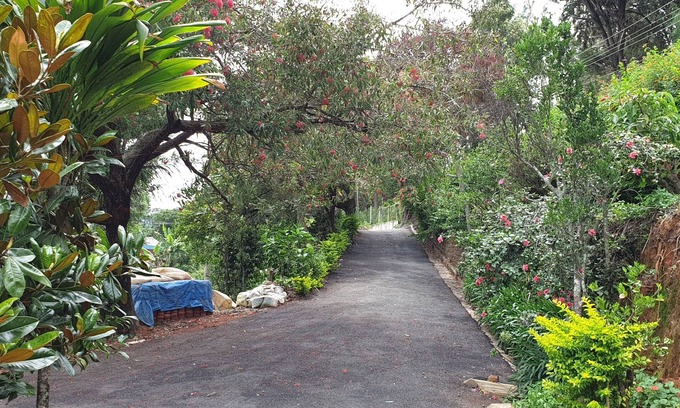 Vannarpet Casa | Check Inn Today Resort