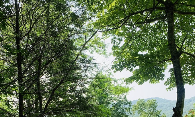 Robbinsville Cabaña | Cheoah lake cottage