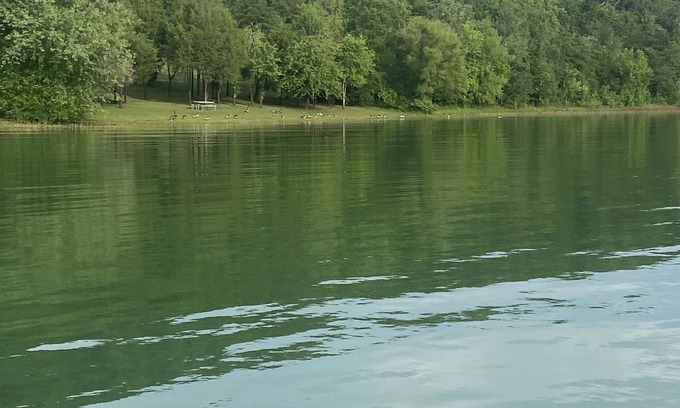 Arthur Cabina | Cherokee Lake view by Gilmore Dock 1 hour from Gatlinburg