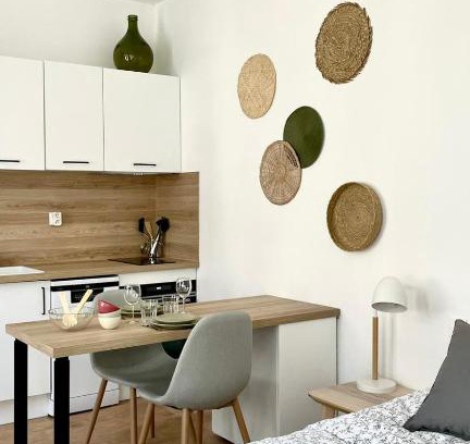 Saint-Amand-les-Eaux Apartamento | Chez Clément et Mathilde - Studio hyper centre tout équipé
