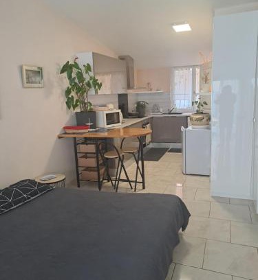 Meyzieu Nord Ouest Apartamento | Chez Sabine et Pascal